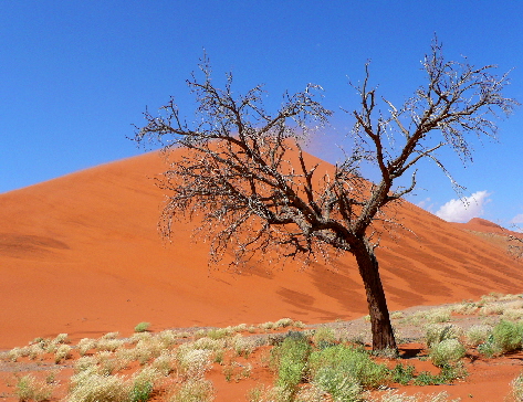 14 SEE Namibia (106)